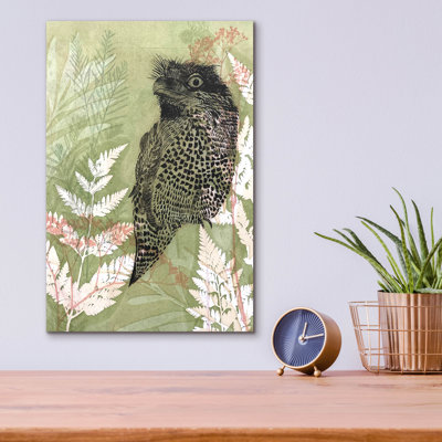 Epic Art ' Tawny Frog Mouth' By Trudy Rice, Acryli " Tawny Frog Mouth " by Trudy Rice