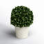 Preserved Greens Ball in Pot-1089430889