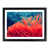 Black Framed selected