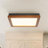 LED Light Flush Mount Ceiling Light