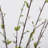 36" Artificial Gray Pussy Willow Bush