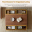 Modern Walnut Coffee Table With 4 Storage Drawers