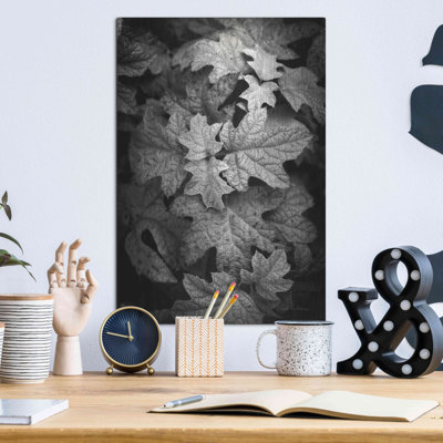 "Feuilles d'hortensias en noir et blanc" par Debra Van Swearingen