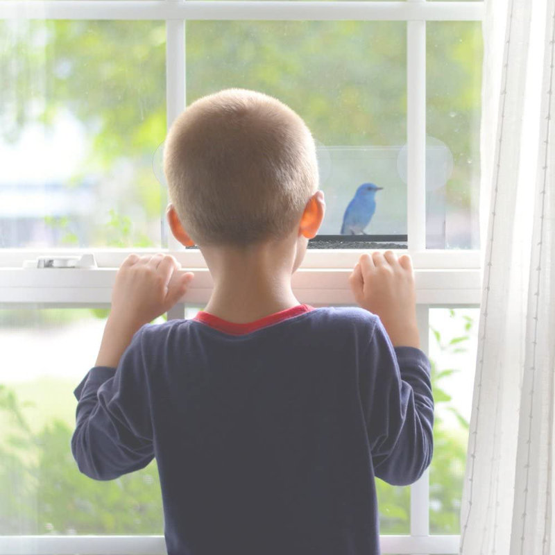 Aunika Window Bird Feeder