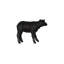 Mouton Texelaar, agneau, gelcoat noir