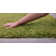 Krisalyn Solid Colour Shag Area Rug