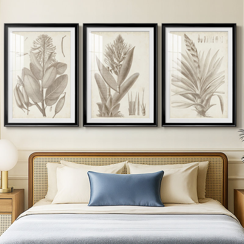 Sépia plantes exotiques I - reproduction encadrée de qualité supérieure sur mesure mat - 3 pièces, H 15 po x l 19 po, Noir
