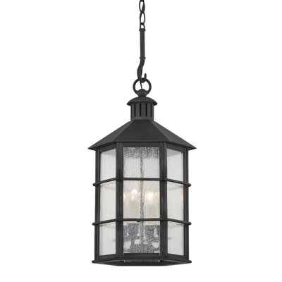 Lake French Iron 4 -Bulb 25.75'' H Outdoor Hanging Lantern
