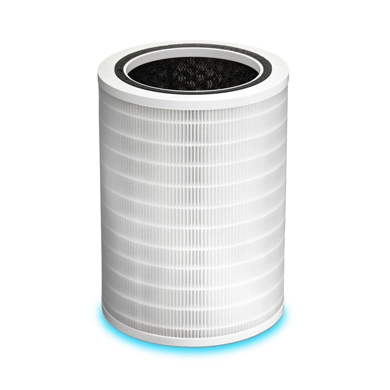 Clorox Large Room True HEPA Replacement Filter