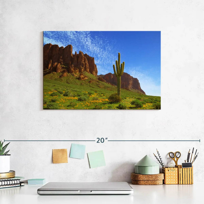 Alvord Cactus In Prospector's View, 8" H x 12" W