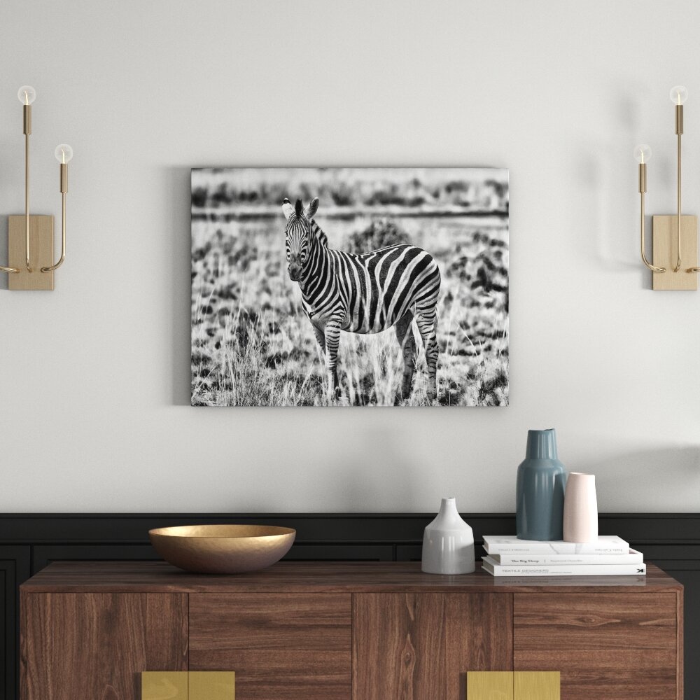 Leinwandbild Zebra im Wildgras in Monochrom