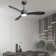 Levyn 52'' Ceiling Fan with LED Lights