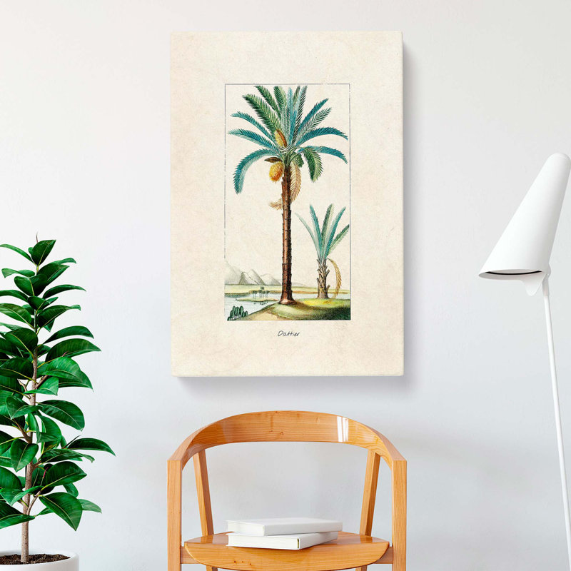 Illustration of a Date Palm Tree - Wrapped Canvas, 50cm H x 35cm W x 3cm D