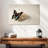 Zen Butterfly-107503185