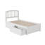 Bharmal Solid Wood Platform Bed with Panel Footboard and Storage Drawers-1073124067