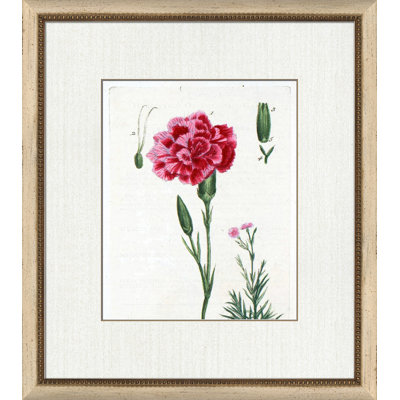 Botanical La Flore I Painting