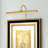 Display/Exhibit Picture Light-1838967336