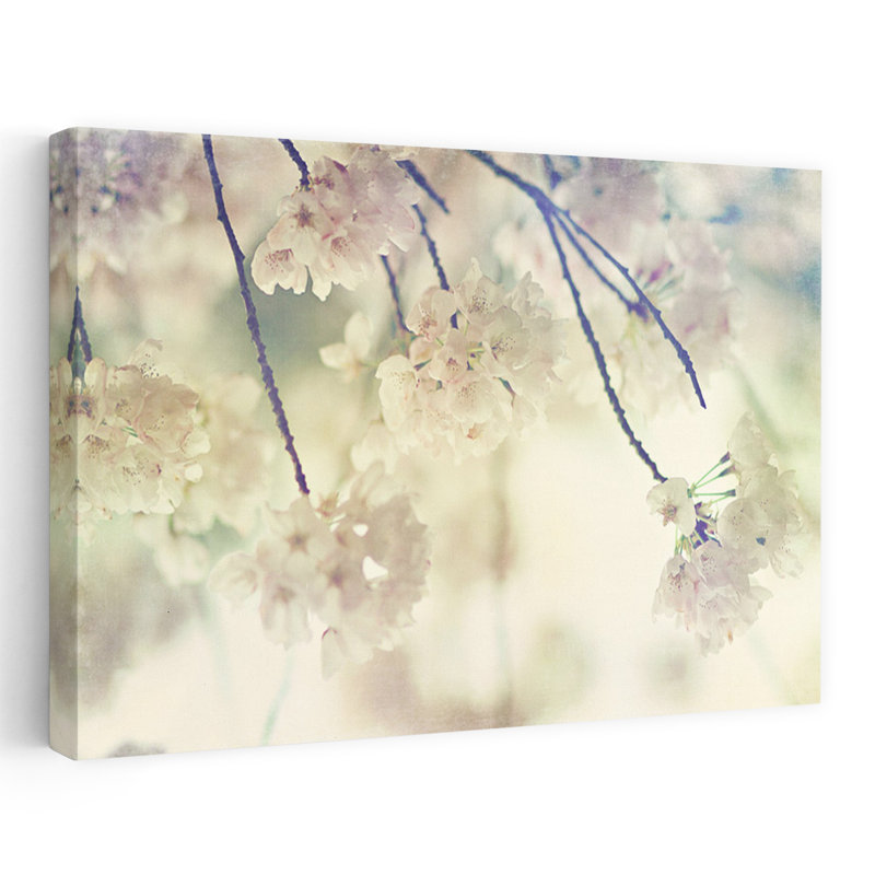 Blanc sur blanc, délicat, rêveur, cerise éthérée, art naturel, H 16 po x l 24 po