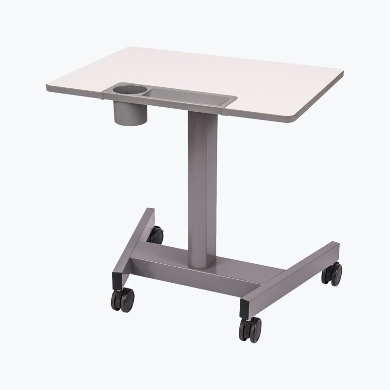 Luseane Adjustable Metal Base Standing Desk