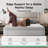10 Inch Full Size Mattress in a Box, Hypoallergenic & Back Pain Relief, Hybrid Full Mattresses, Fiberglass Free, No Box Spring Needed