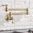 Senlesen Kitchen Faucet
