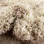 Tapis à poils longs treillis beige Rugs.com-1926720770