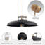 Luminaire suspendu 1 lumière Allbright-1597883077-1597883076