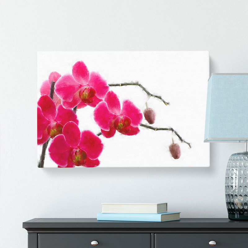 Hot Pink Orchids - Wrapped Canvas, 60cm H x 91cm W x 3cm D
