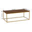 Azriel Frame Coffee Table