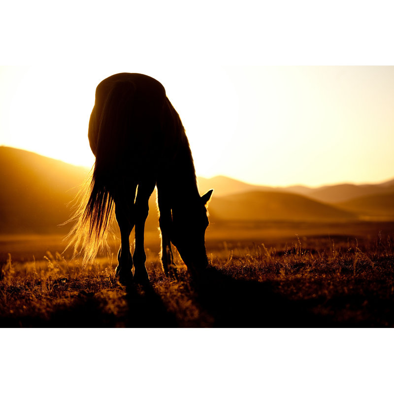 Coucher de soleil et cheval par Freef flottant - Photographie sur toile tendue, H 20 po x l 30 po