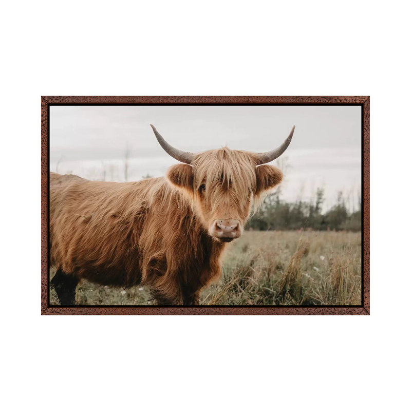 Stoic Highland Cow by Chelsea Victoria - Print on Canvas, Classic Brown Wood Framed, 101.6 cm H x 66.04 cm W