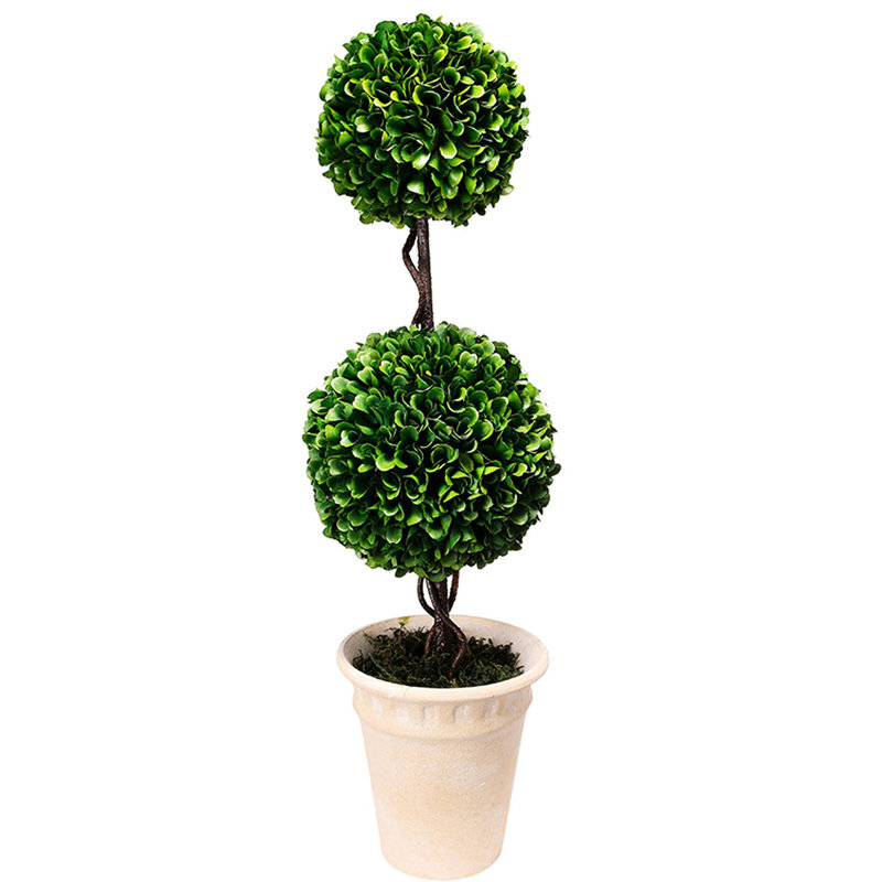 D7x22 "H à deux niveaux en fausse sphère de buis en pot crème