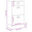  Rangement pour chaussures en bois d'ingénierie gris anthracite, plastique moyen