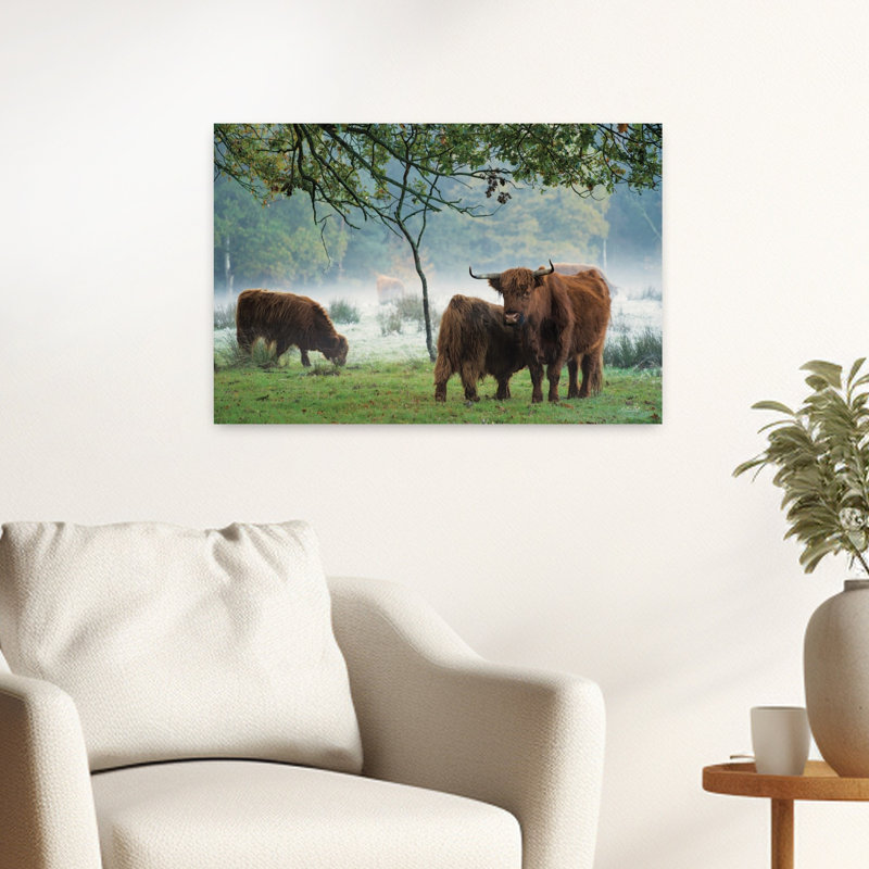 Print, 40.64cm H x 60.96cm W