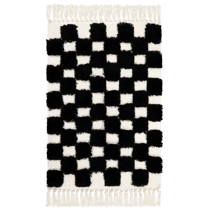Keyniah Handwoven Checkerboard Washable Area Rug Perfect for Living Room, Bedroom,Kitchen, Rectangle 2' x 3'
