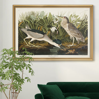 Night Heron - reproduction d'art sur toile encadrée