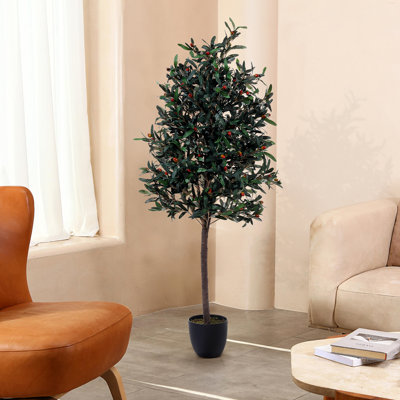 190cm Plant