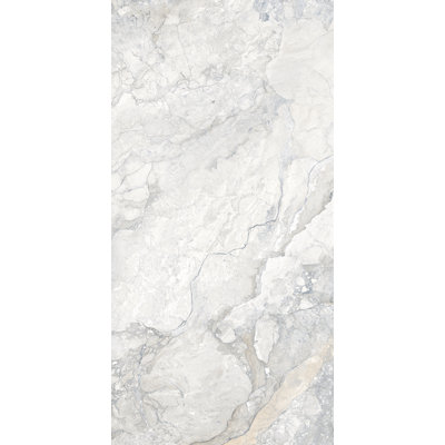 Harmonie 24" x 48" Matte Marble Look Porcelain Wall & Floor Tile