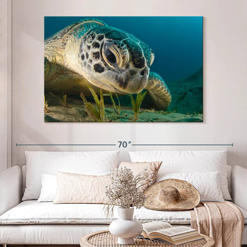 Brampt Sea Turtle Close Up, 34" H x 51" W