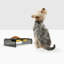 Petite mangeoire pour animaux grise-102882923
