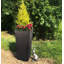 Plant Pot-788838800-795294482