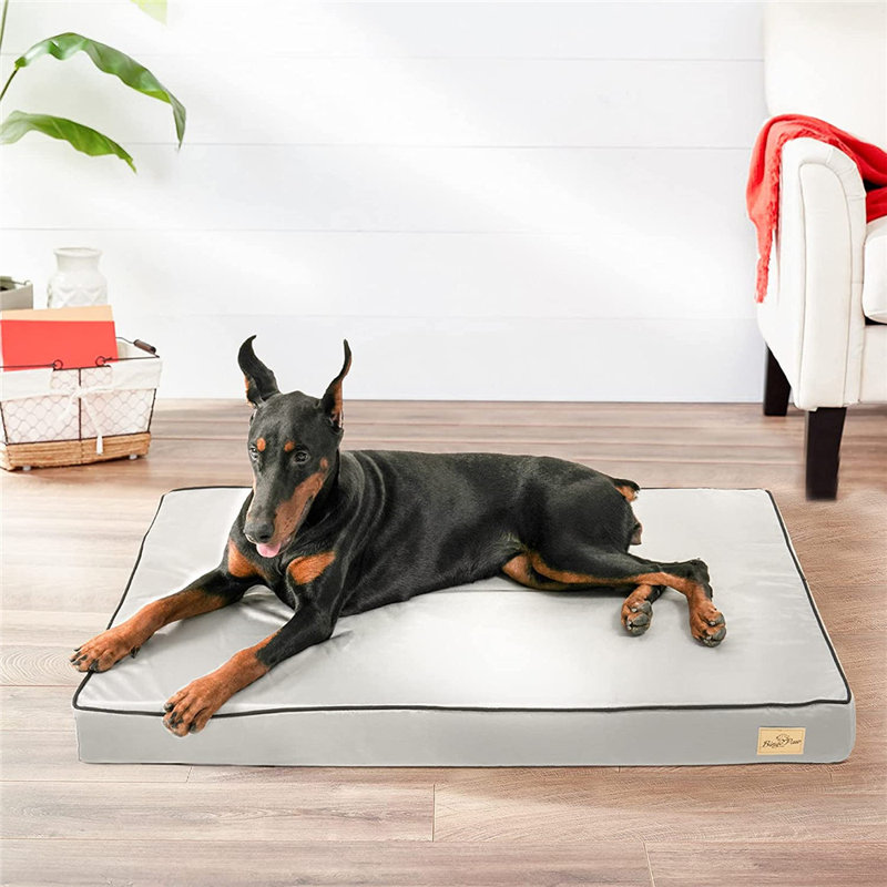 Orthopedic Polyester Pet Bed, 8cm H x 95cm W x 70cm D