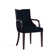 Elianys 18.5'' H Upholstered Beech Armchair