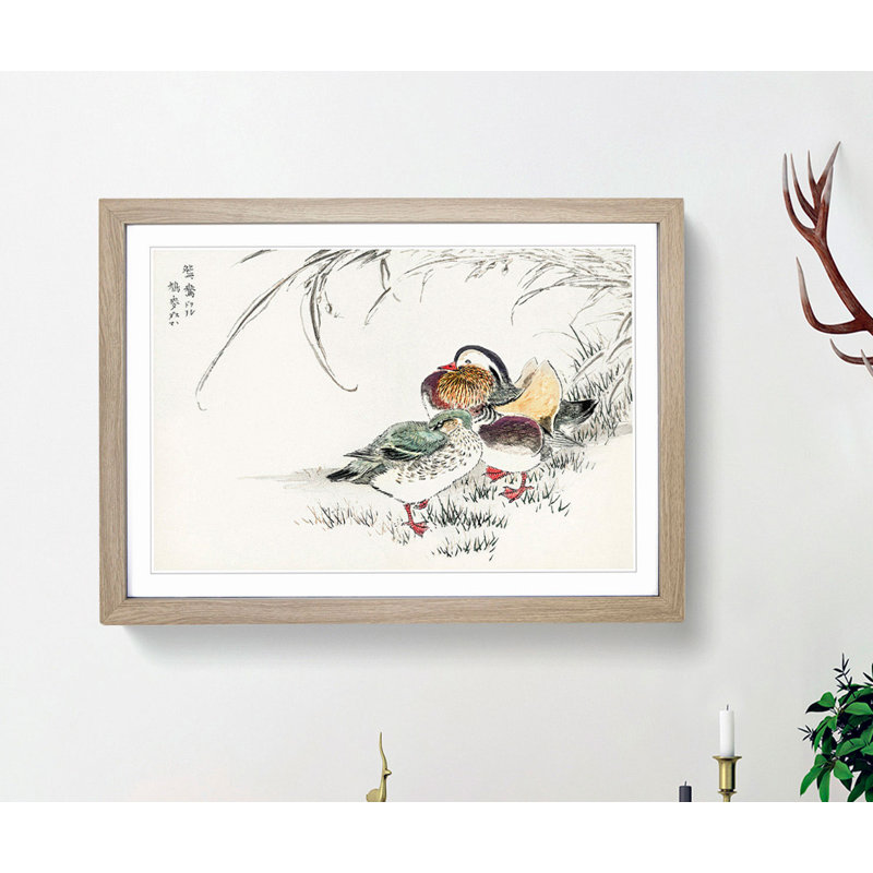 Mandarin Duck by Numata Kashu - Picture Frame Painting Print, Oak, 35cm H x 50cm W x 2cm D