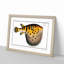 Pufferfish by M.E. Bloch - Framed Print-55602034-55602039