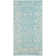Anastacia Performance Oriental Rug