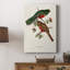 ElegantTrogonsVI - Gallery Cavas sur mesure-1705645344
