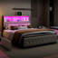 Tavean Upholstered Storage Bed-596322781