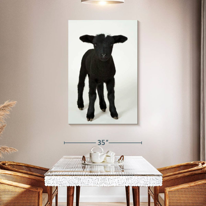 Black Baby Sheep, 48" H x 32" W