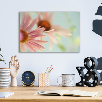 «Daisy Days» par Judy Stalus
